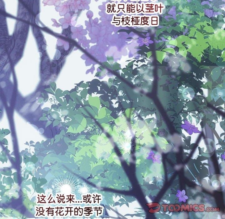 第40张