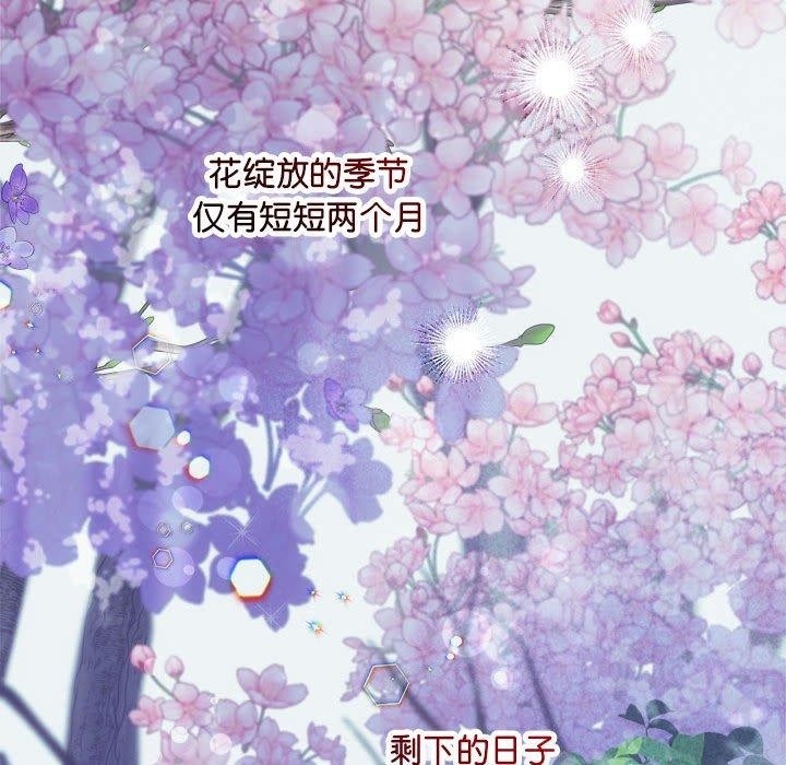 第37张