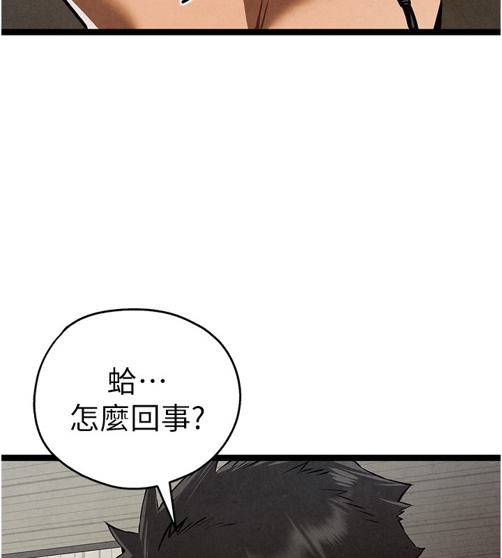第96张