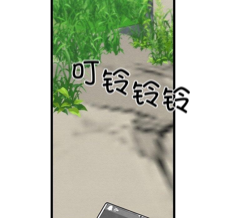 第3张