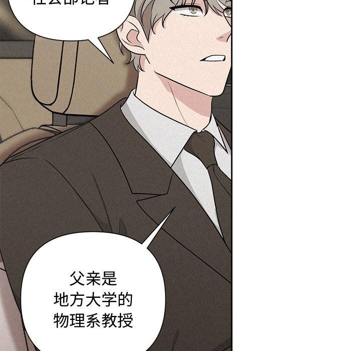 第41张