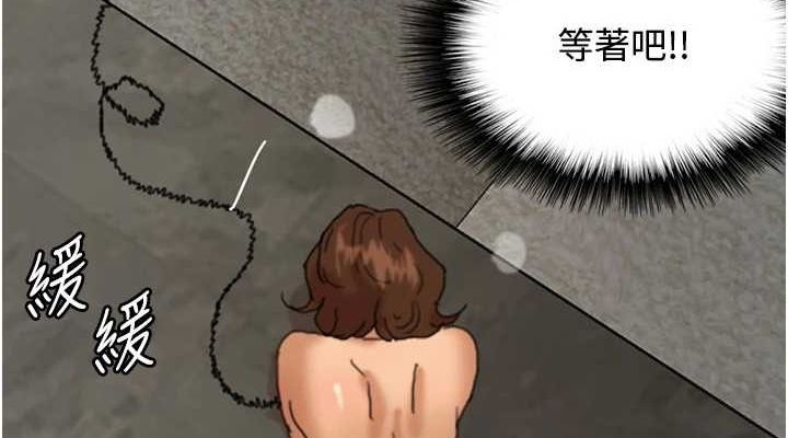 第12张