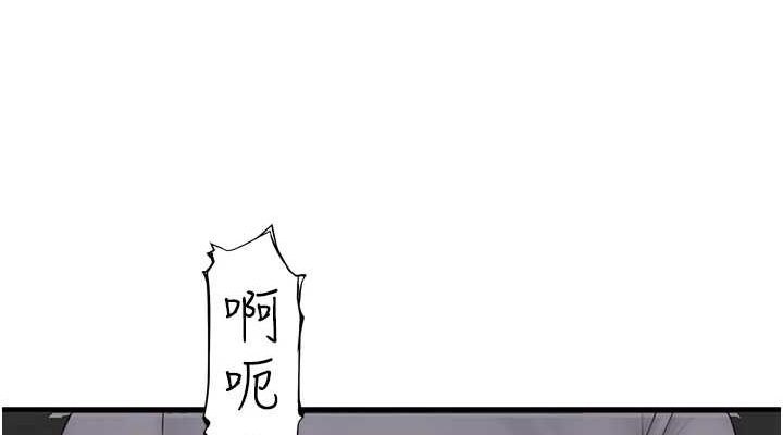 第6张