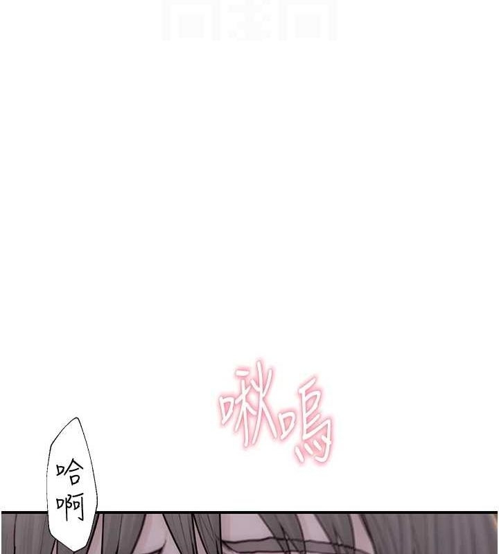 第17张