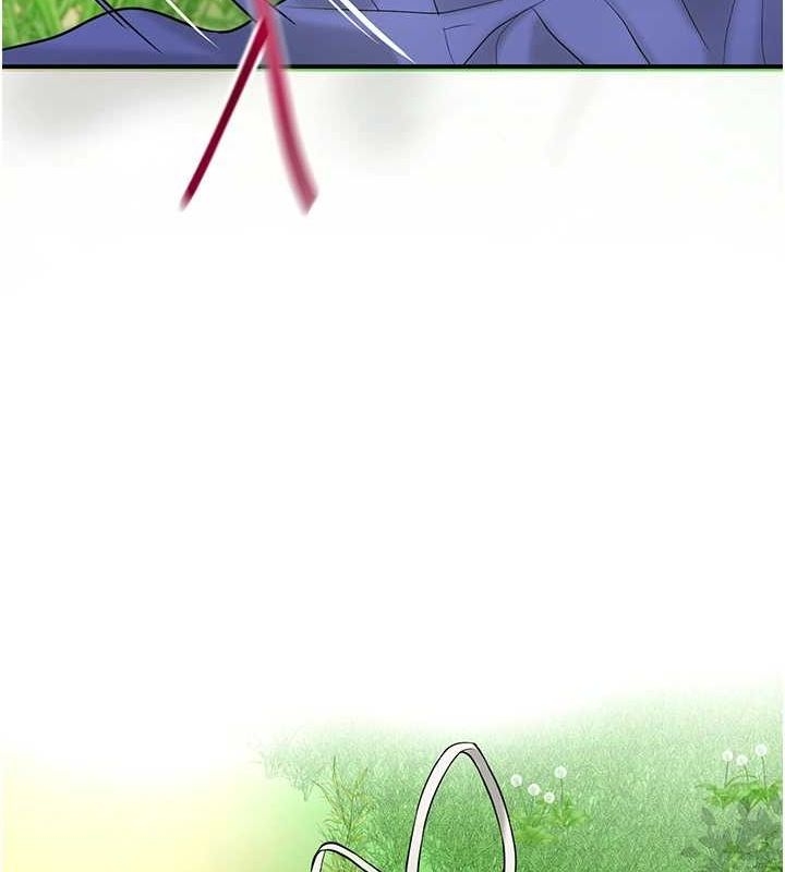 第15张