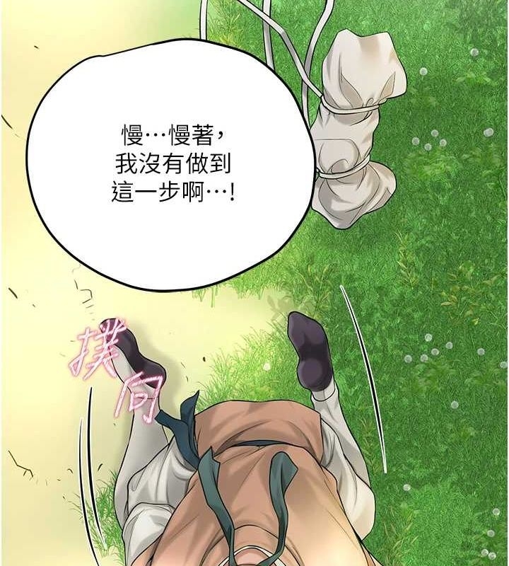 第17张
