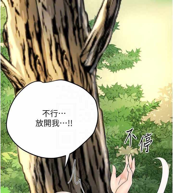 第91张