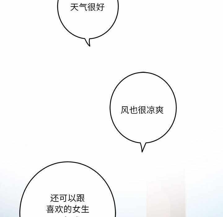第231张