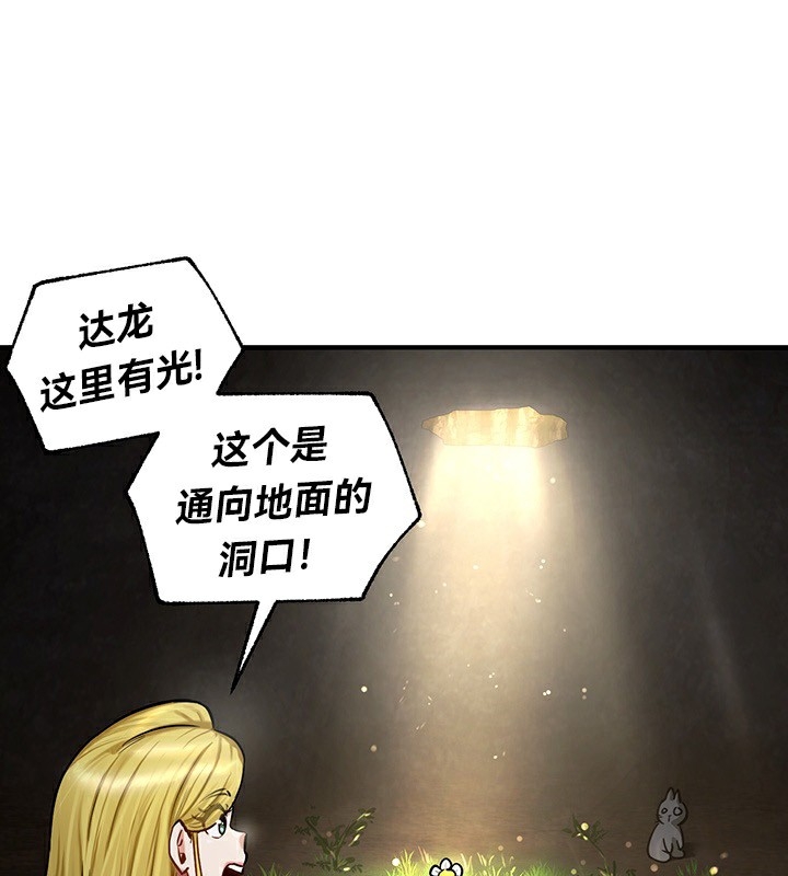第14张