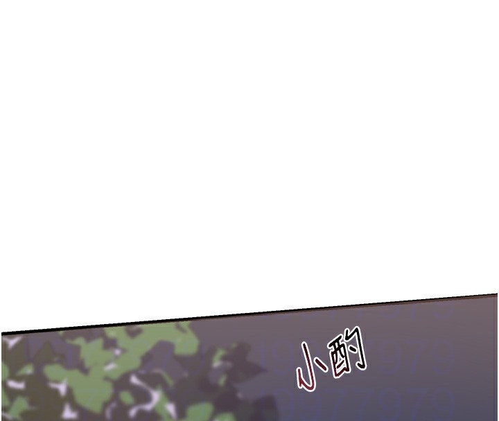 第178张