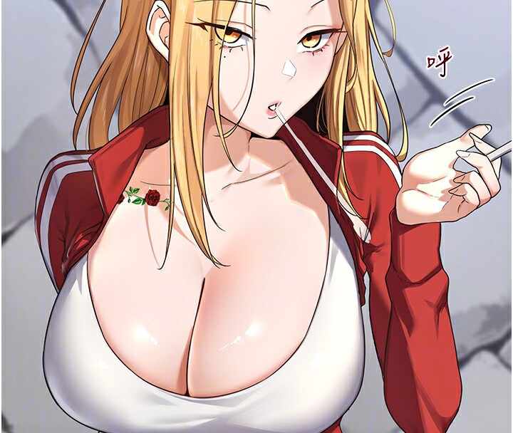 第132张