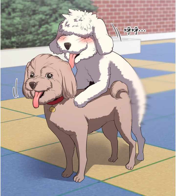 第146张