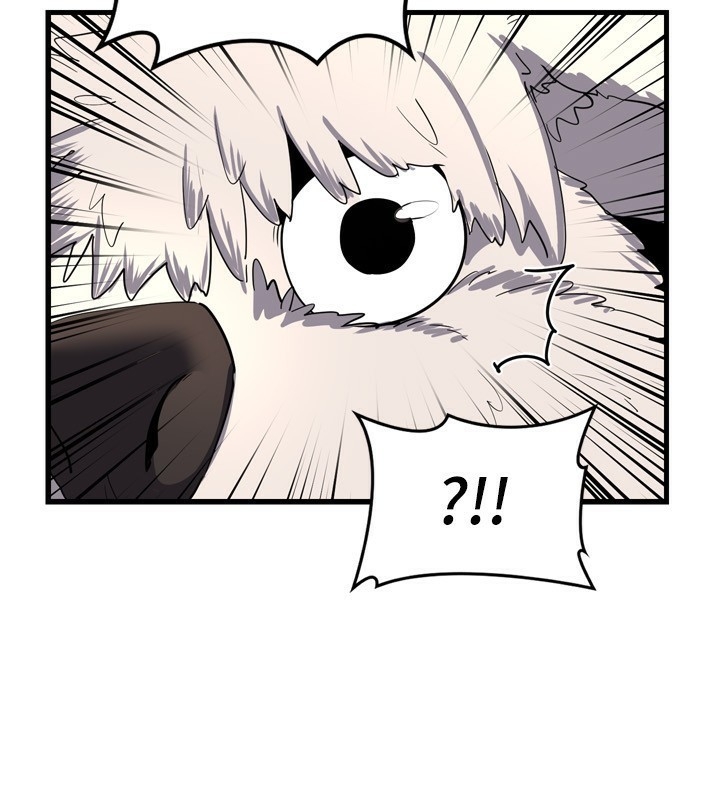 第41张
