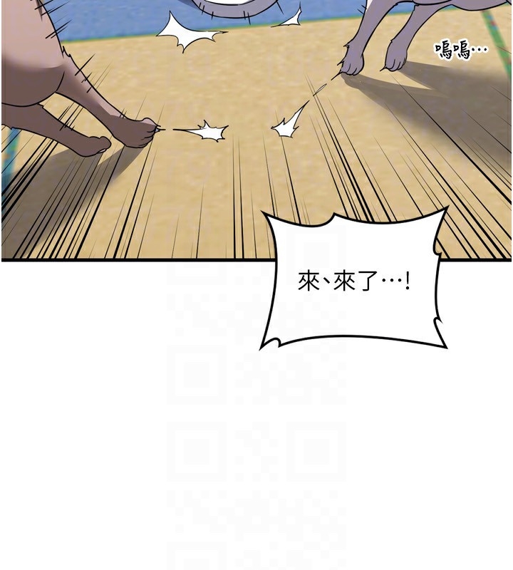 第53张
