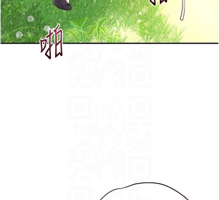 第111张