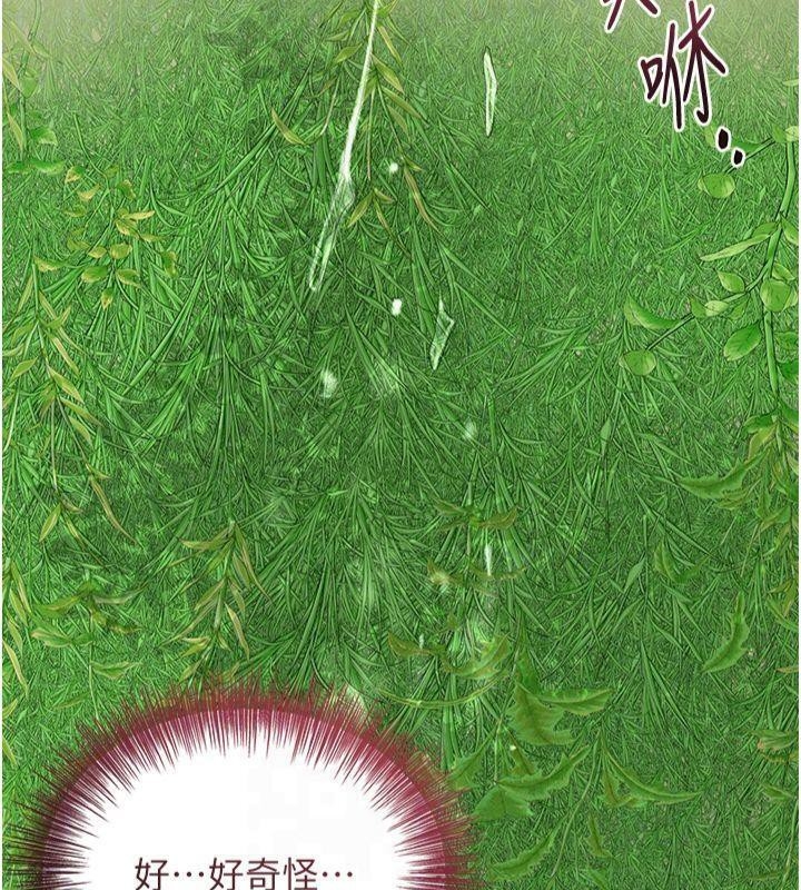 第62张