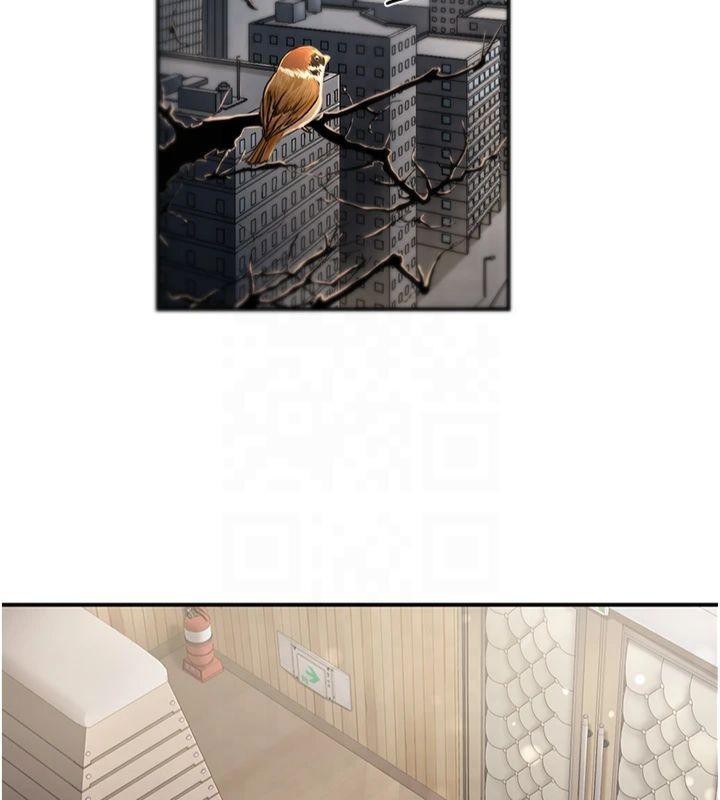 第167张