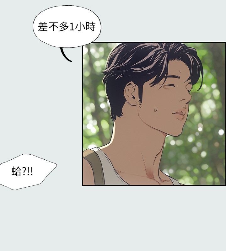 第51张