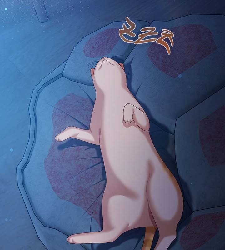 第8张