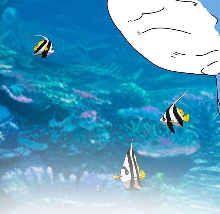 第126张