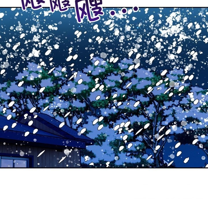第37张