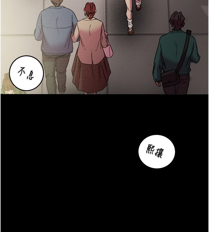 第42张