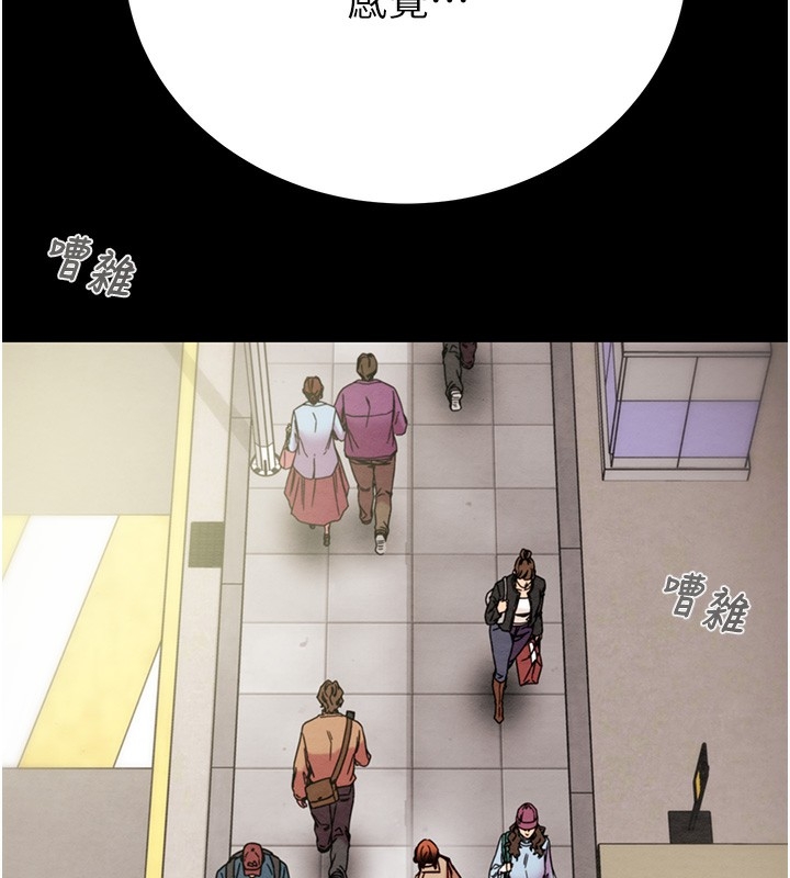第251张