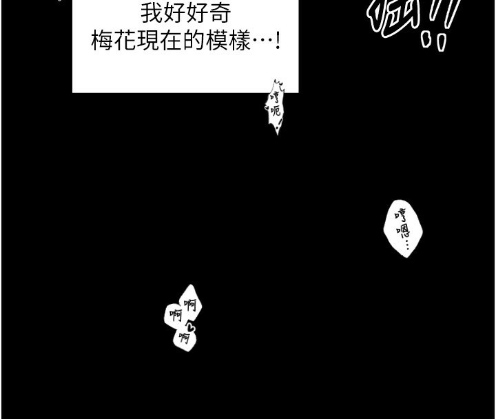 第206张