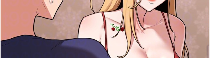 第213张