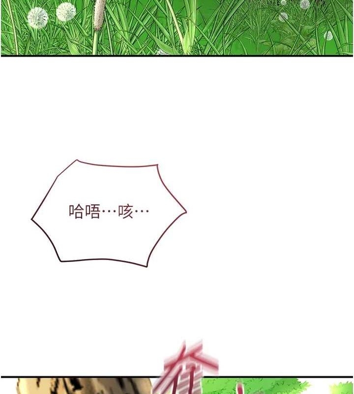 第6张