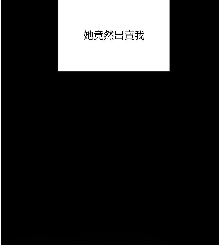 第223张