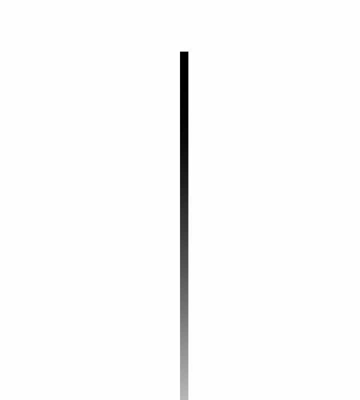 第215张