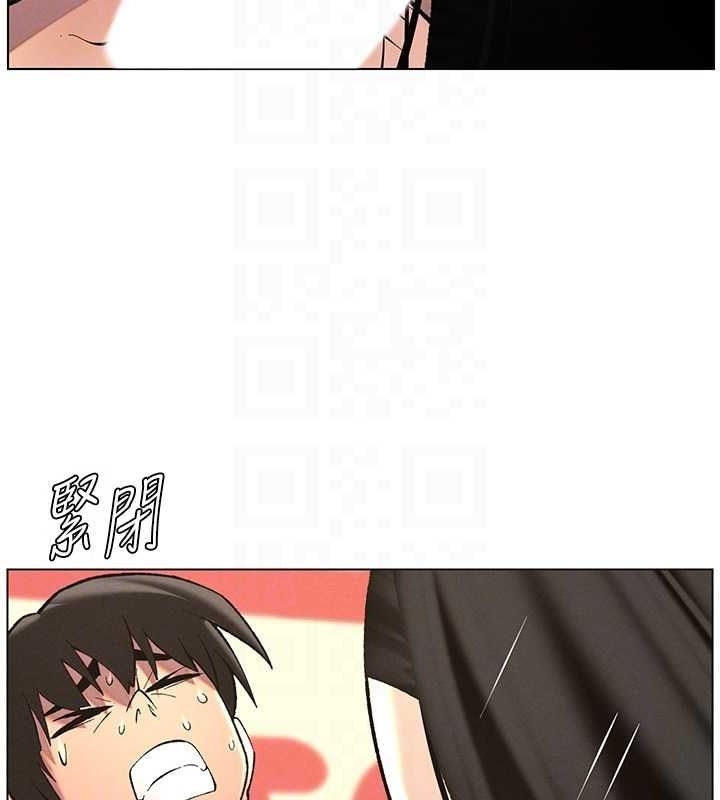 第53张