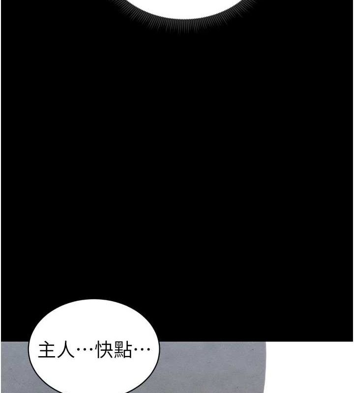第17张