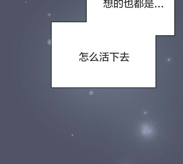 第6张