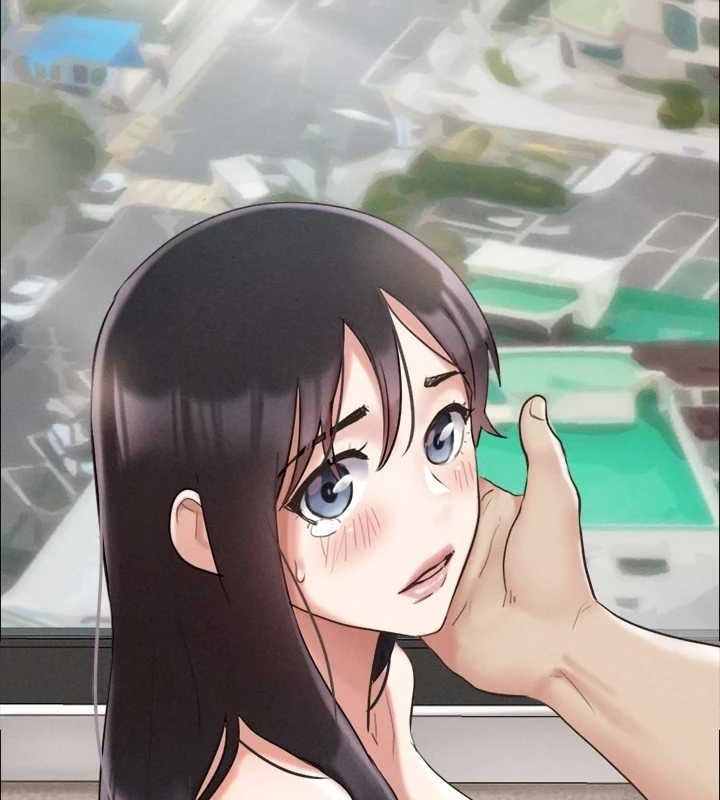 第65张