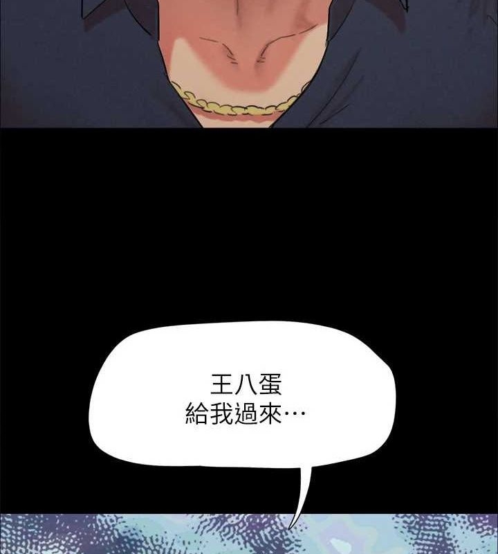 第33张