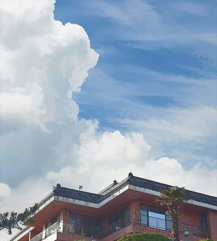 第4张