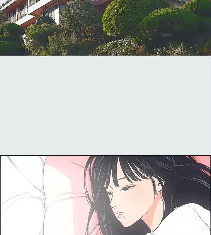 第6张