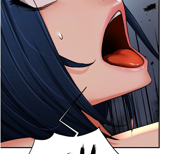 第115张