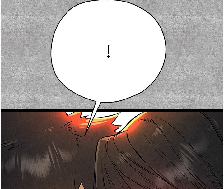 第11张
