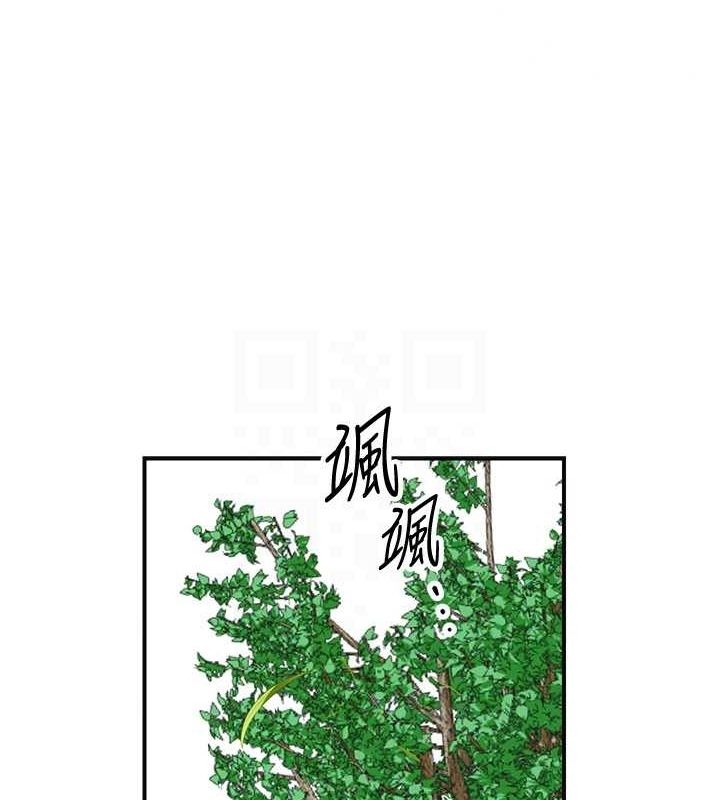 第86张