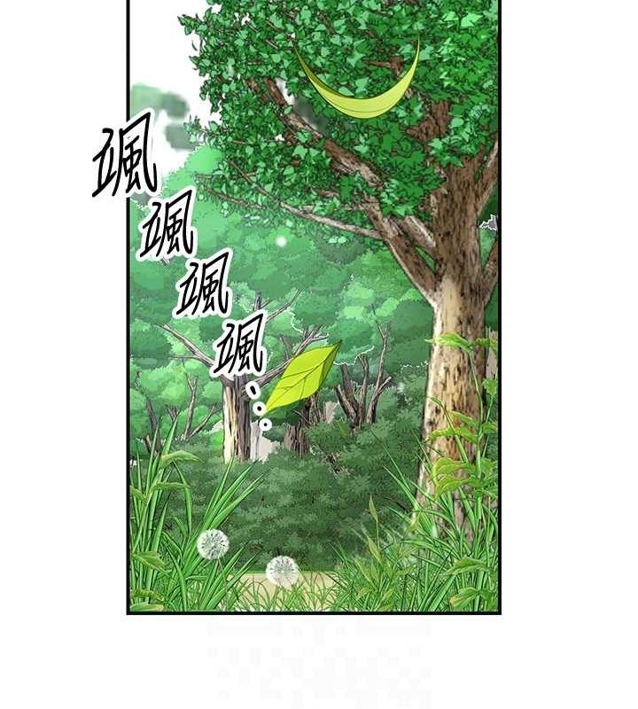 第88张
