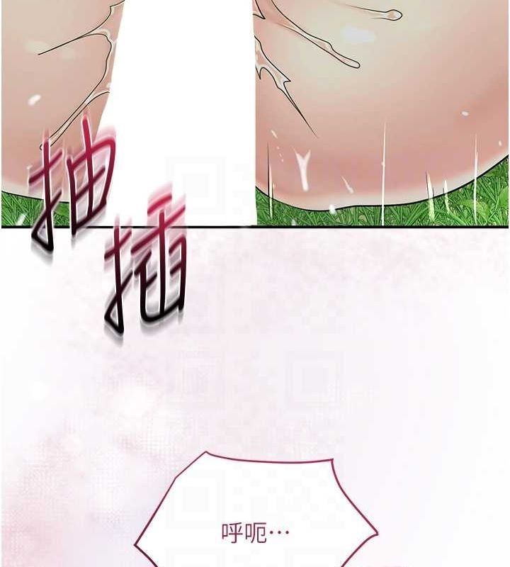 第38张