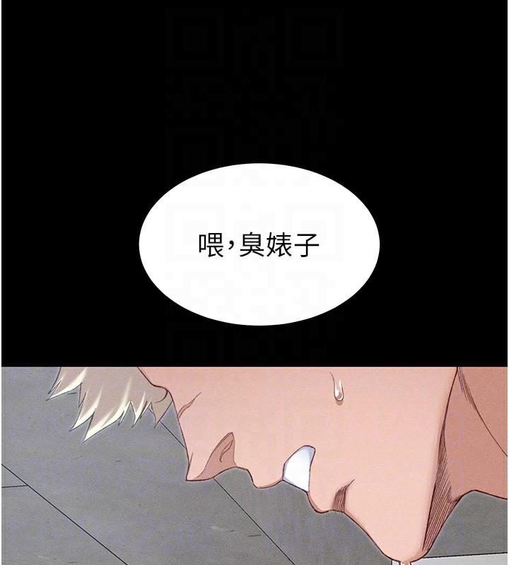第17张