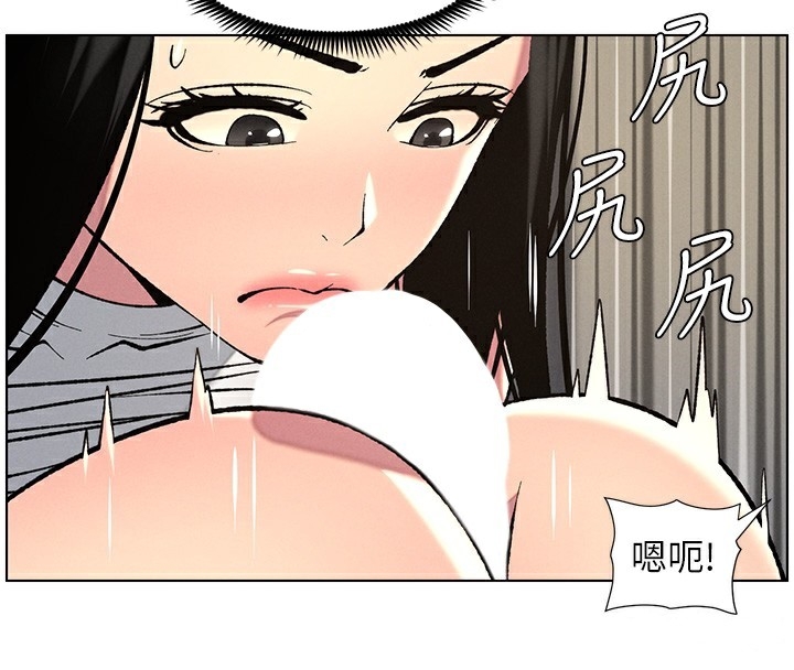 第50张