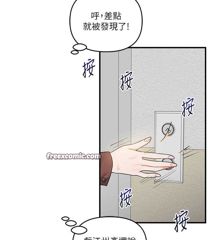 第137张
