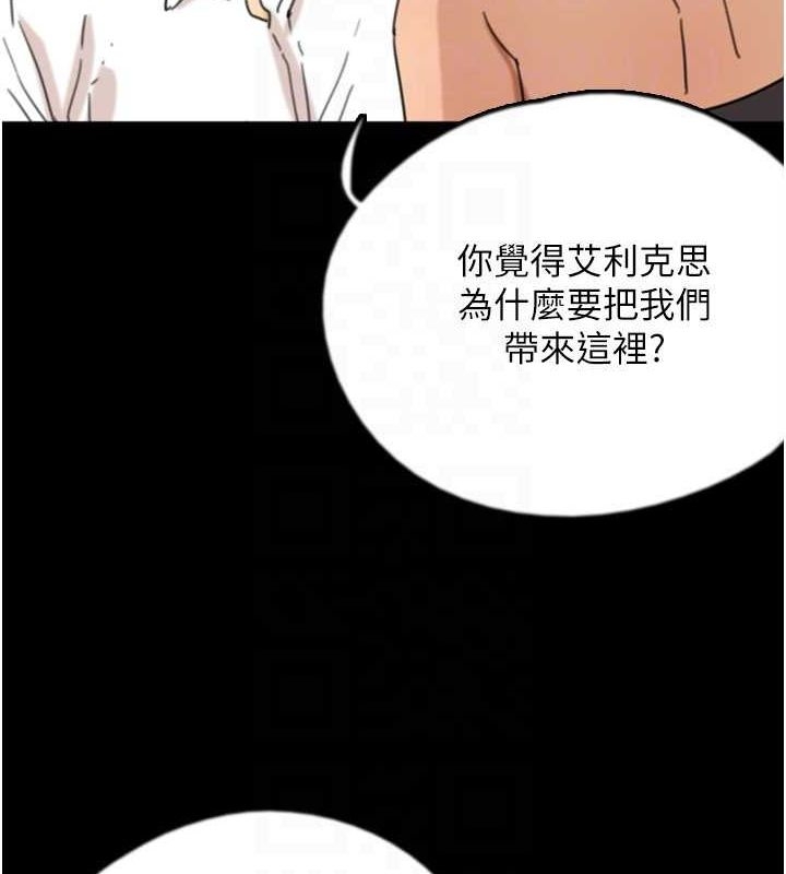 第43张