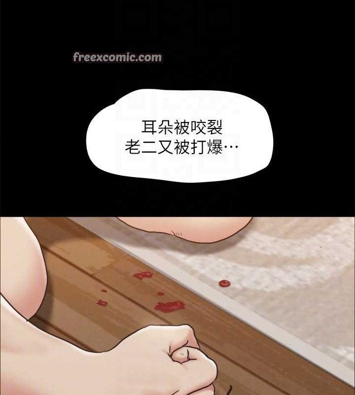 第3张