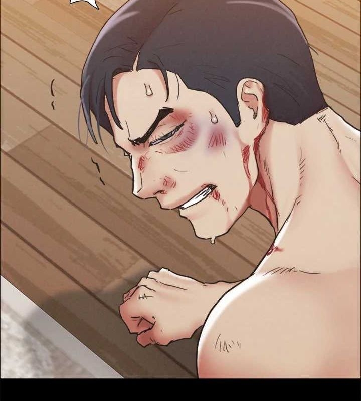 第17张